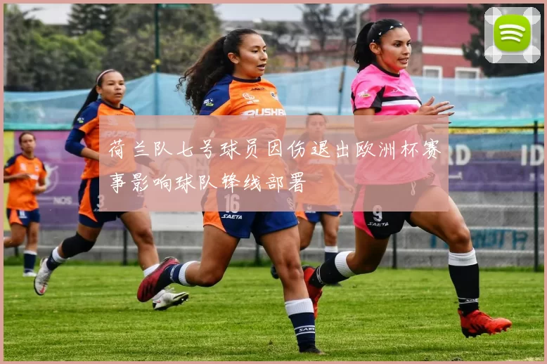 荷兰队七号球员因伤退出欧洲杯赛事影响球队锋线部署