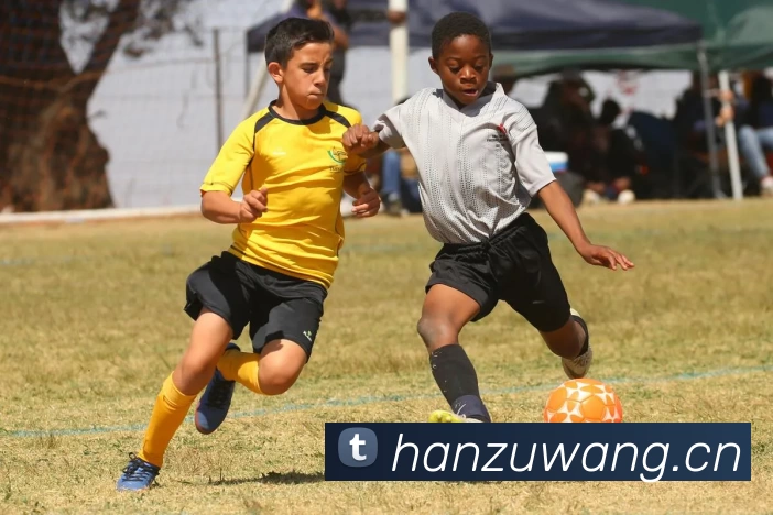 App Interface Preview